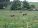 červen 2010_1