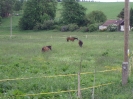 červen 2010_2