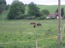 červen 2010_3