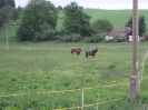 červen 2010_4