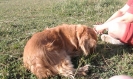 červenec 2010_9