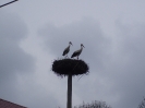 květen 2010_2