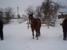 leden 2010_4