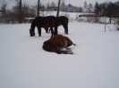 leden 2010_6