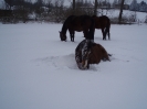 leden 2010_7