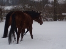 leden 2010_9